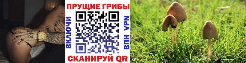 shop телеграм  Лесной  Галлюциногенные грибы MAGIC MUSHROOMS 
