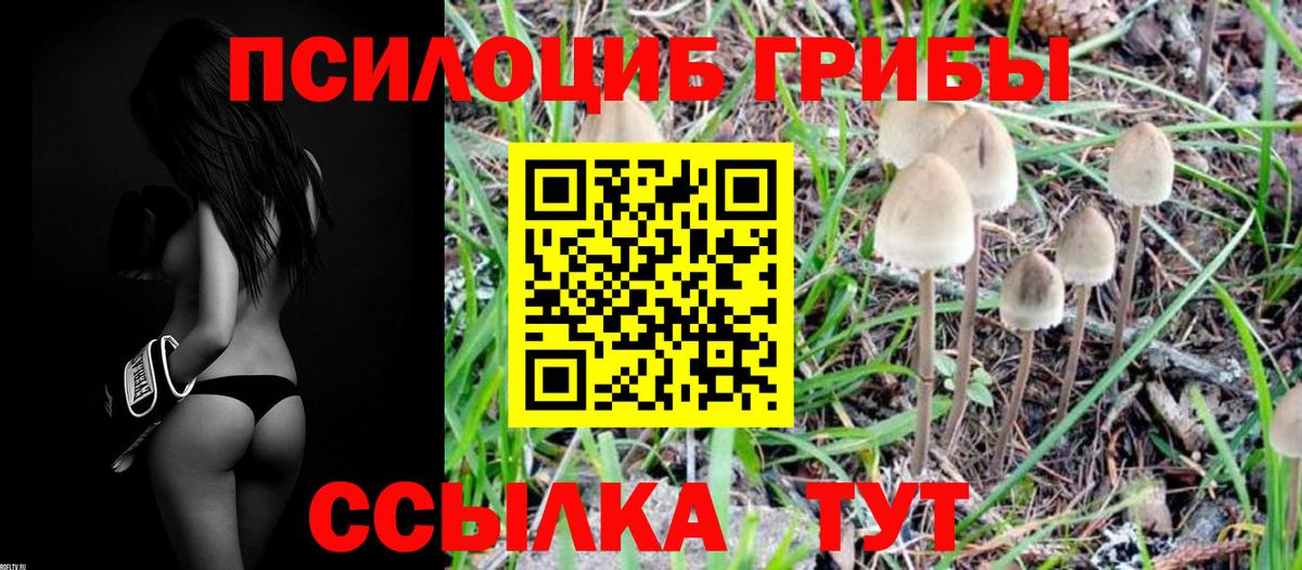 Псилоцибиновые грибы мухоморы Лесной