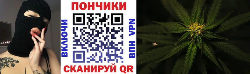 Каннабис марихуана  Лесной 